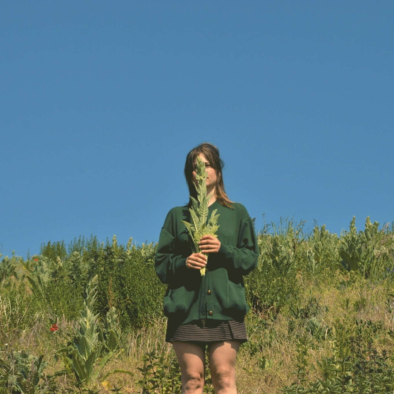 Wat kunnen we leren van planten? In deze poëtische installatie onderzoekt kunstenaar Anna Spiliotopoulou hoe collectieve systemen — zoals wortelnetwerken — hun omgeving actief hervormen. Een sculpturale tafel vormt het hart van interactieve performances.